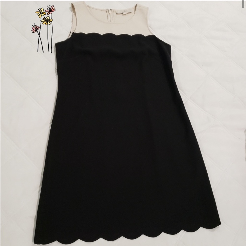 LOFT black and cream scalloped dress - Sz 6